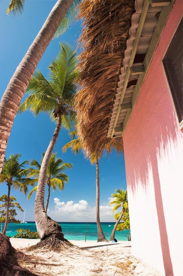 Gava Hostel Punta Cana Zewnętrze zdjęcie