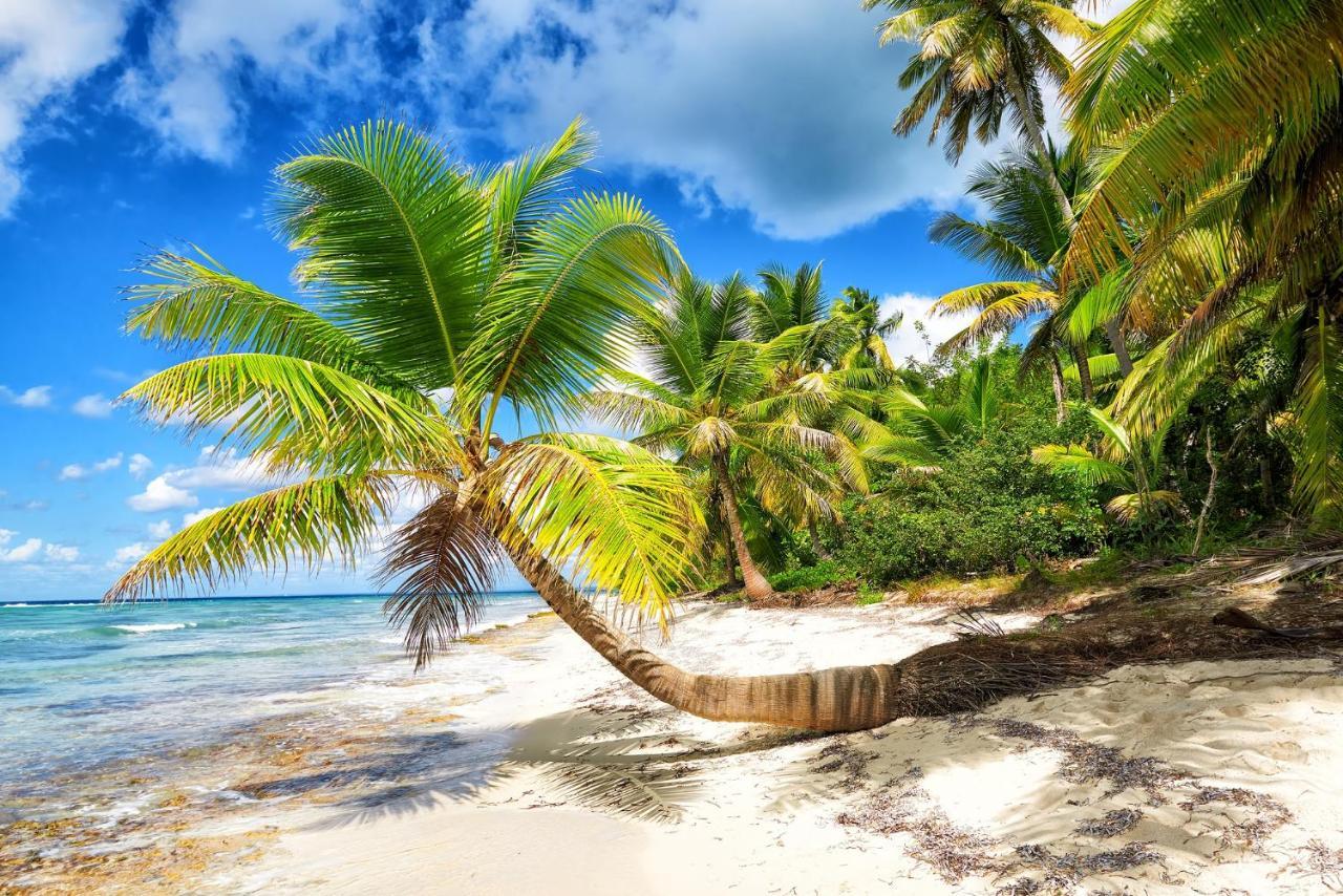 Gava Hostel Punta Cana Zewnętrze zdjęcie